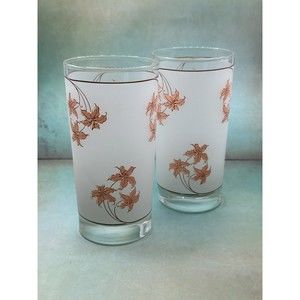 Set of 2 Frosted Tumblers Exotic Pink Flowers